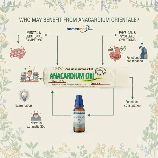 Anacardium Orientale uses in homeopathy, Anacardium Homeopathic Medicine, German Homeopathic Medicine, Dr Reckeweg Anacardium, Schwabe Anacardium, Adel Anacardium, Homeopathic Medicine for Memory, Homeopathic Brain Tonic, Homeopathic Nervous Weakness Remedy