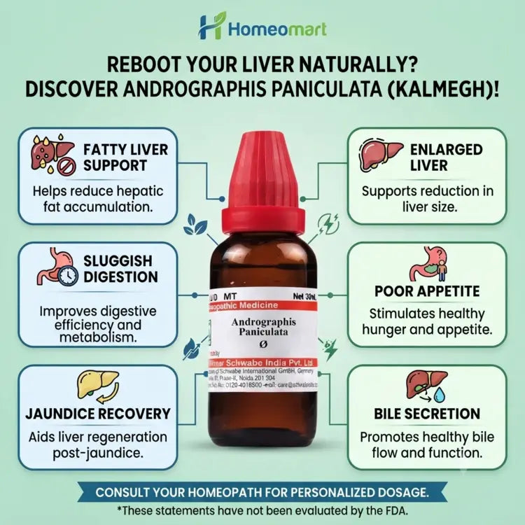 Andrographis Paniculata uses, Kalmegh benefits,homeopathic medicine for fatty liver support, homeopathic remedy for enlarged liver, kalmegh for poor appetite, homeopathic medicine for sluggish digestion, homeopathic remedy for jaundice recovery support, homeopathic medicine for bile secretion support,