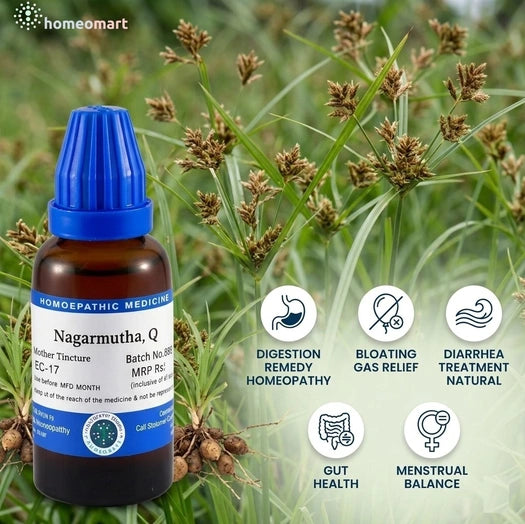 menstrual support homeopathy, dyspepsia treatment homeopathy, carminative homeopathic drops, natural detox remedy, urinary support homeopathy, ayurvedic musta benefits, herbal digestive tonic