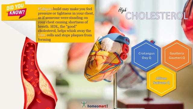reduce bad cholesterol (LDL), triglycerides with herbal remedies