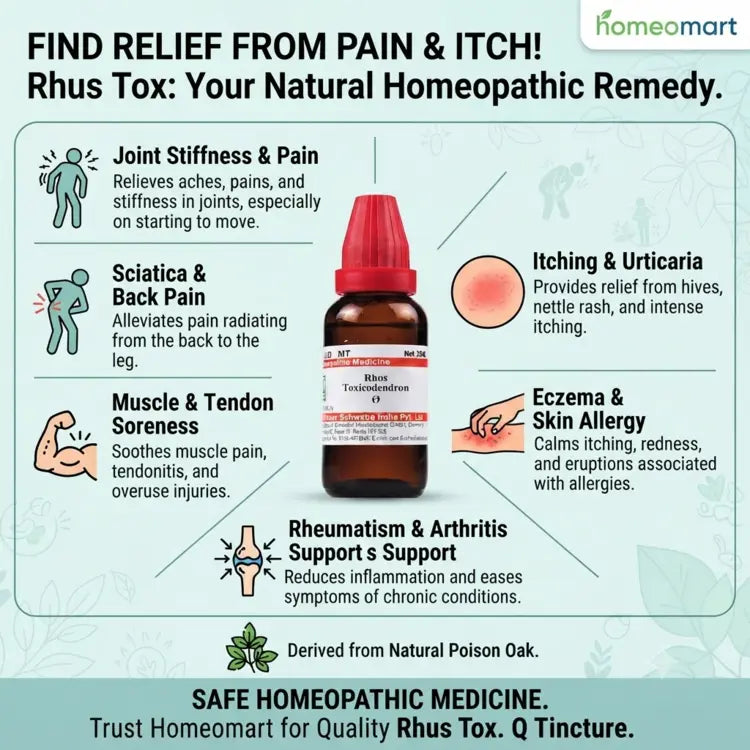 best homeopathic medicine for joint stiffness after rest, Rhus Toxicodendron for rheumatic pain aggravated by cold, homeopathic remedy for sprains and ligament pain, natural medicine for sciatica and muscle stiffness, Rhus Toxicodendron for eczema and itching, homeopathic medicine for urticaria and allergic rash, remedy for tendon pain and muscle soreness,