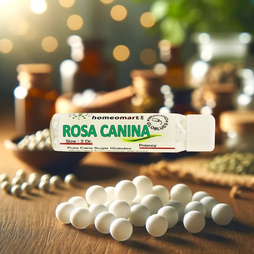 Rosa Canina homeopathic globules with packaging on a wooden surface