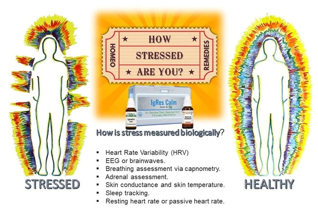 Diagram showing stress levels with 'Stressed' and 'Healthy' body illustrations and a box labeled 'How Stressed Are You?'