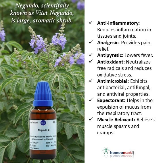 Bottle of Negundo extract with plant and benefits listed on a white background