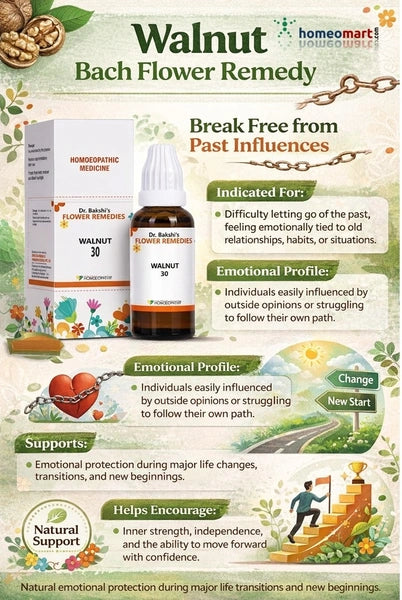 Walnut Bach Flower Remedy packaging with product details and benefits on a branded background.