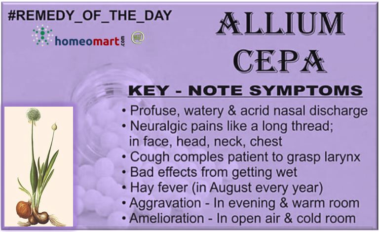 Allium Cepa Homeopathy indications benefits