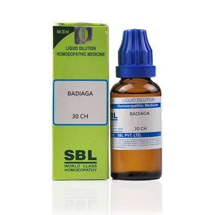 Badiaga, Badiaga homeopathic dilution, Badiaga uses, Badiaga homeopathic medicine, Badiaga benefits, Badiaga indications, Badiaga materia medica, Badiaga for muscle soreness, Badiaga for bruised sensation,