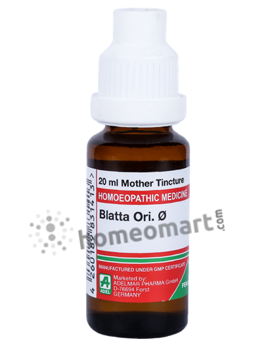 Adel-Blatta-Orientalis-Homeopathy-Mother-Tincture-Q.