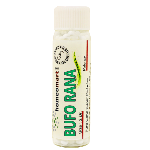 Bufo Rana, Bufo Rana homeopathy, Bufo Rana medicine, Bufo Rana homeopathic medicine, Bufo Rana medicated pills, Bufo Rana globules, Bufo Rana pellets, Bufo Rana homeopathic remedy, Bufo Rana dilution, buy Bufo Rana, Bufo Rana pills, Bufo Rana homeopathy medicine