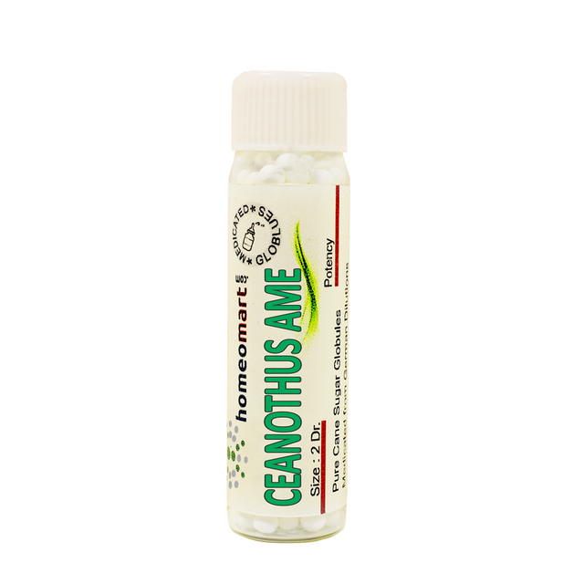 Ceanothus Americanus 2 Dram homeopathy Pills 6C, 30C, 200C, 1M, 10M