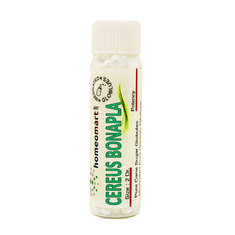 Cereus Bonplandii Homeopathy 2 Dram Pills