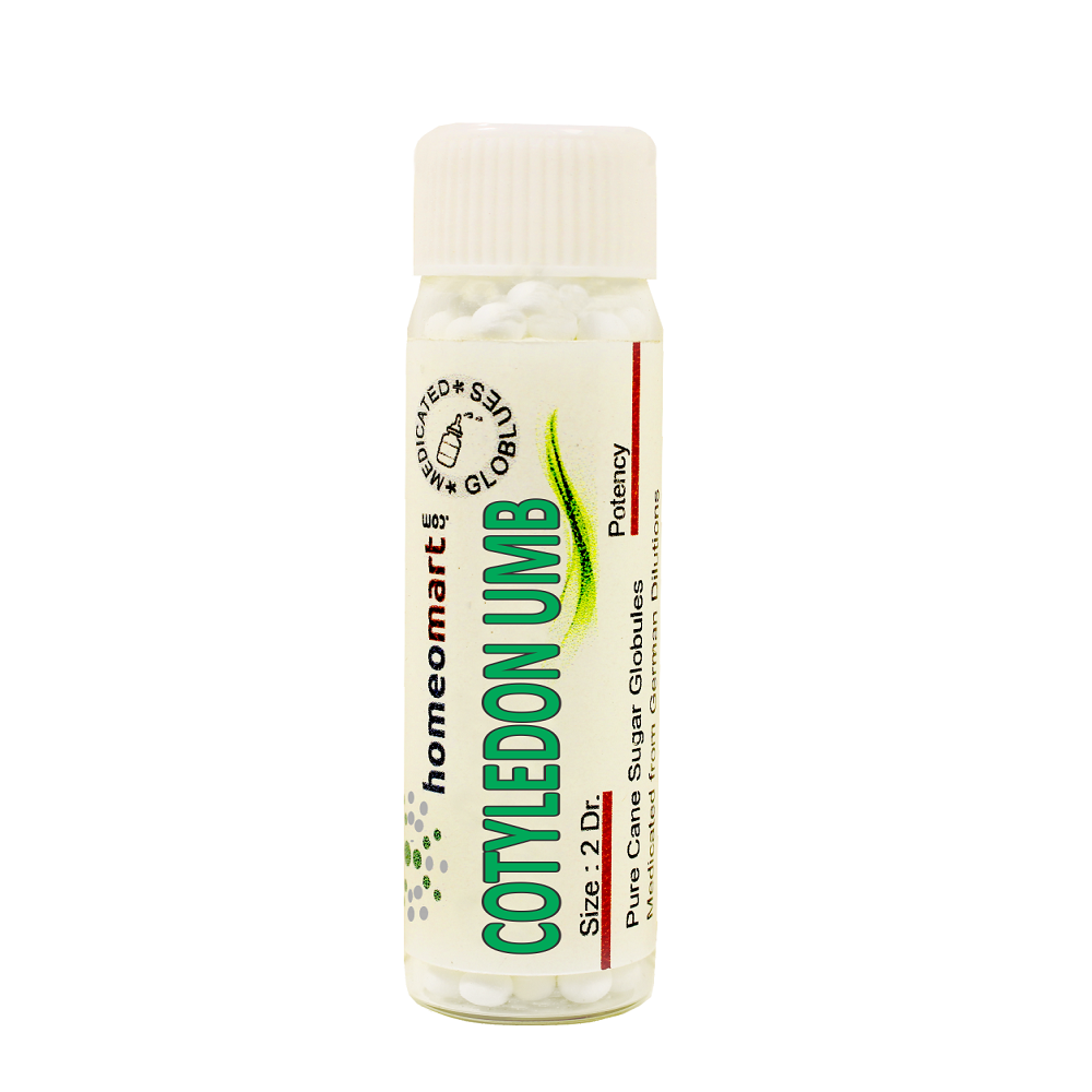Cotyledon Umbilicus Homeopathy 2 Dram Pills