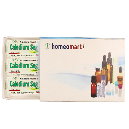 Homeopathy Caladium Seguinum 2 Dram Pills Box