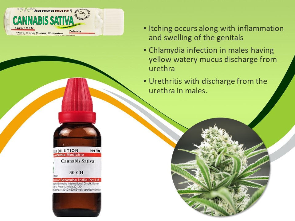 Cannabis Sativa Hemp Homeopathic indications, benefits