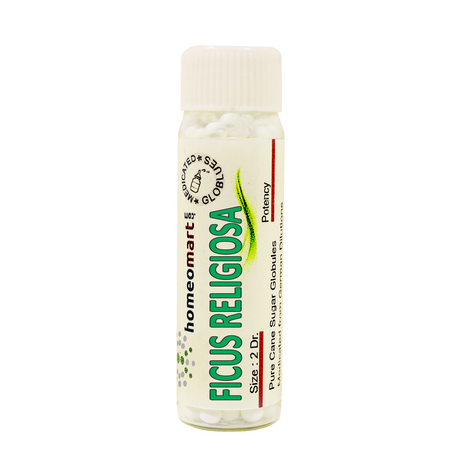Ficus Religiosa Homeopathy 2 Dram Pills