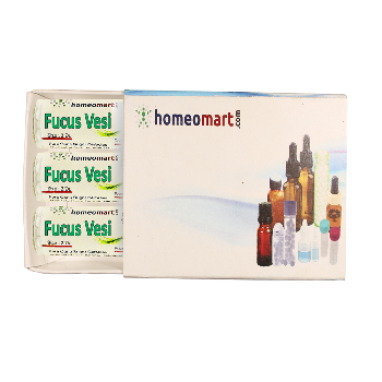 Fucus Vesicxoulosus Homeopathy Pills Box
