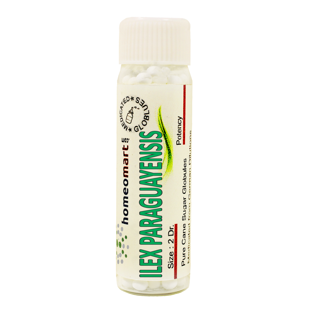 Ilex Paraguayensis Homeopathy 2 Dram Pills