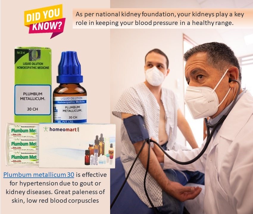 Renal hypertension treatment homeopathy medicine