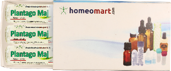Plantago Major Homeopathy medicine Box