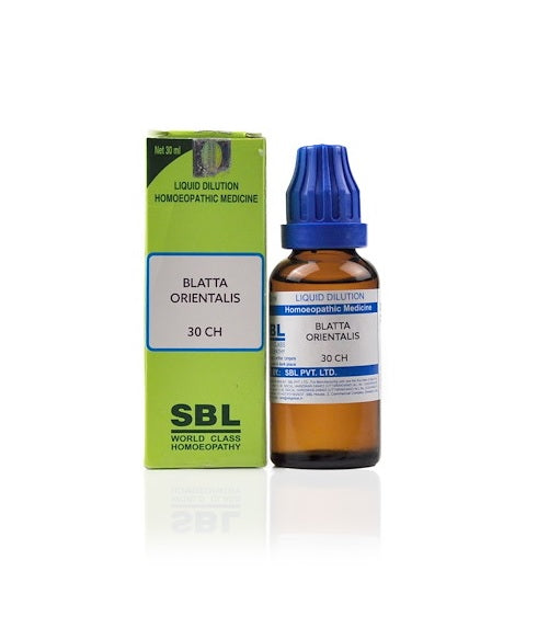 SBL-Blatta-Orientalis-Homeopathy-Dilution-6C-30C-200C-1M-10M