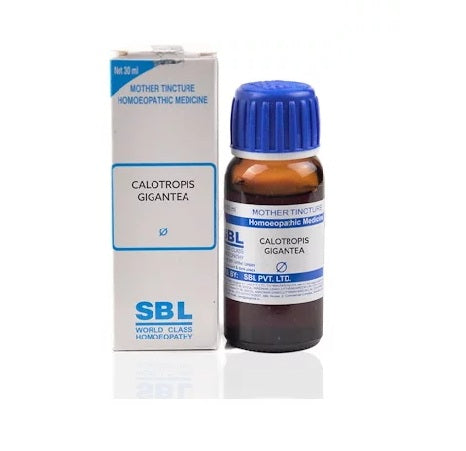 SBL-Calotropis-Gigantea-Homeopathy-Mother-Tincture-Q.