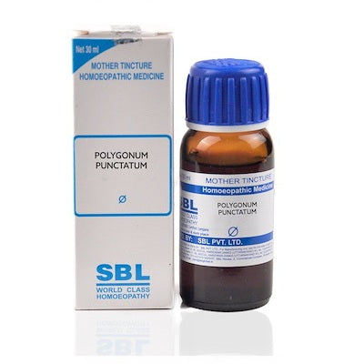 SBL Polygonum Punctatum Homeopathy Mother Tincture Q