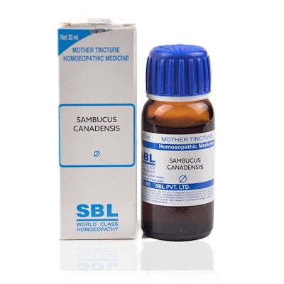 SBL Sambucus Canadensis Homeopathy Mother Tincture Q