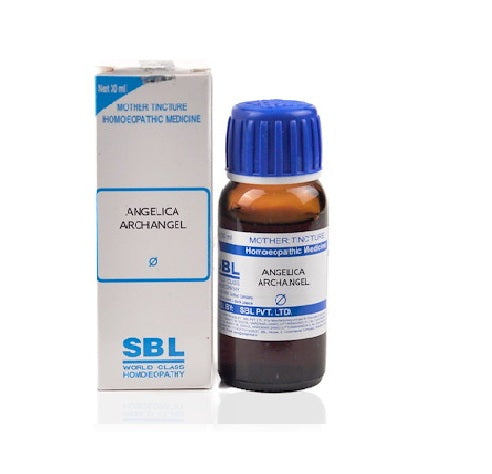 SBL Angelica Archangelica Homeopathy Mother Tincture Q 30ml