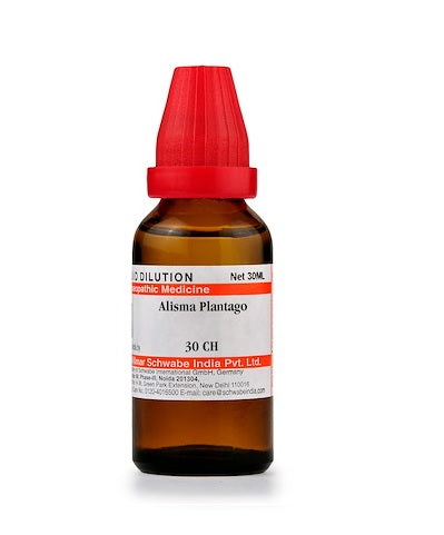 Schwabe Alisma Plantago Homeopathy Dilution 6C, 30C, 200C, 1M, 10M