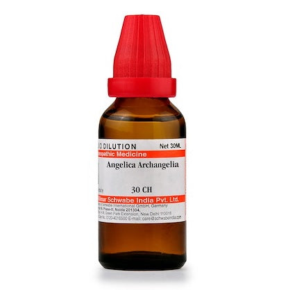 Schwabe-Angelica-archagelica-6C-12C-30C-200C-1M in 30ml