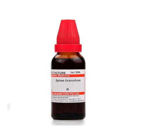Schwabe Apium Graeolens Homeopathy Mother Tincture Q
