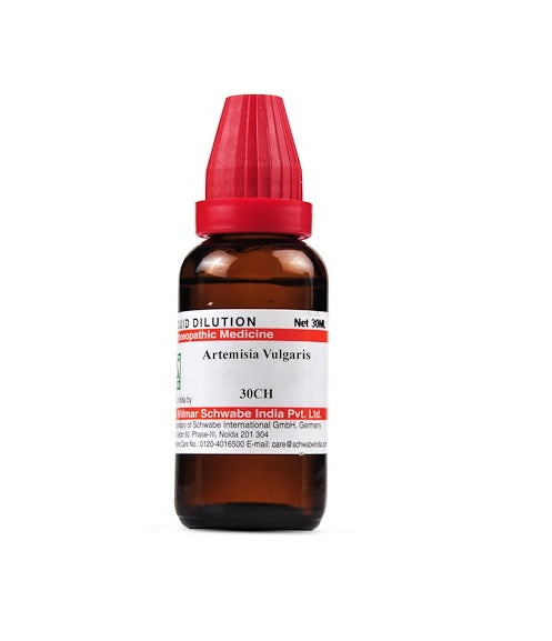 Schwabe-Artemisia-Vulgaris-Homeopathy-Dilution-6C-30C-200C-1M-10M.