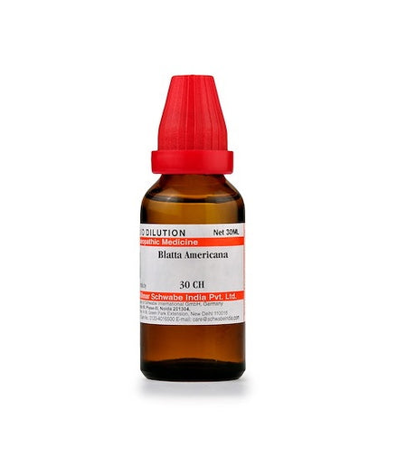 Schwabe Blatta Americana Homeopathy Dilution 6C, 30C, 200C, 1M, 10M in 30ml