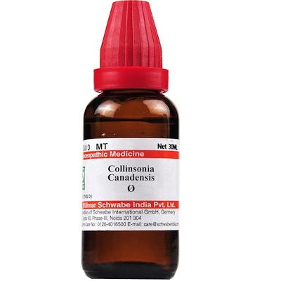 Schwabe-Collinsonia-Canadensis-Homeopathy-Mother-Tincture-Q, collinsonia canadensis q, piles homeopathic medicine, hemorrhoids relief homeopathy, constipation homeopathic remedy, venous congestion remedy