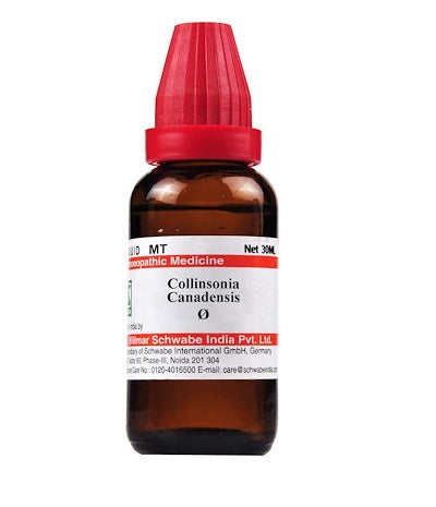 Schwabe-Collinsonia-Canadensis-Homeopathy-Mother-Tincture-Q.