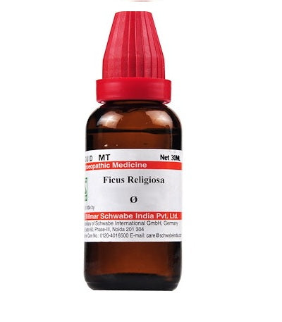 Schwabe-Ficus-Religiosa-Homeopathy-Mother-Tincture-Q.