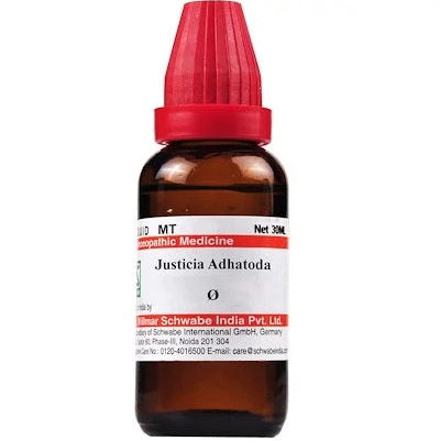 Justicia Adhatoda mother tincture, homeopathy medicine for cough, expectorant homeopathy drops, bronchitis homeopathy remedy, natural remedy for chest congestion, asthma homeopathy medicine, cough syrup alternative homeopathy, herbal expectorant drops