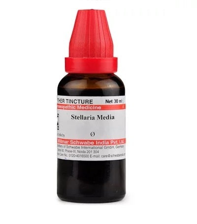 schwabe Stellaria Media Homeopathy Mother Tincture Q