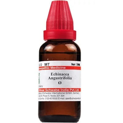 homeopathic medicine for recurrent infections, echinacea drops, homeopathic blood purifier, remedy for boils homeopathy,