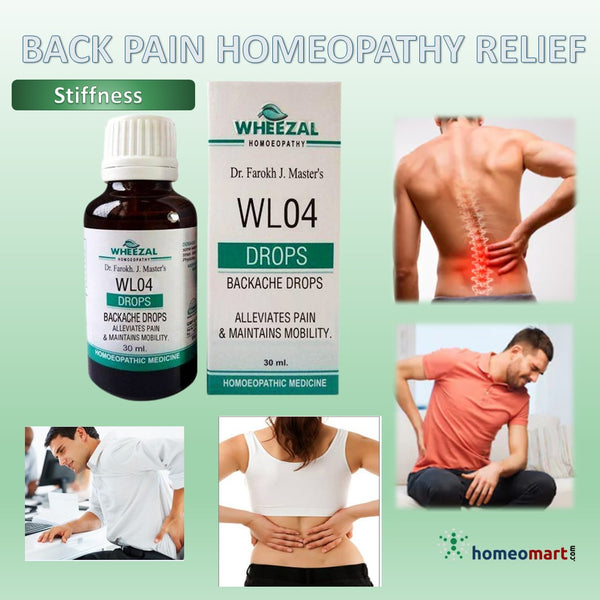 Wheezal Wl 4 Homeopathy Drops Backache Lumbago Arthritis Of Back Homeomart 2599