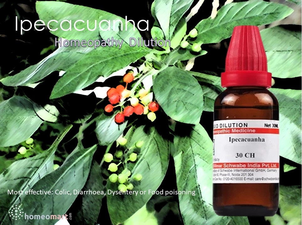 Ipecacuanha homeopathy medicine 30 200 uses