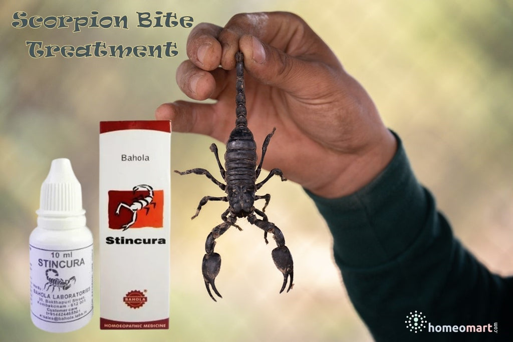 scorpion bite treatment at home