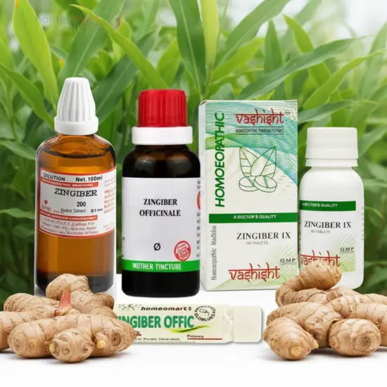 Ginger Medicinal Uses in Homeopathy: Zingiber for Vital Recovery