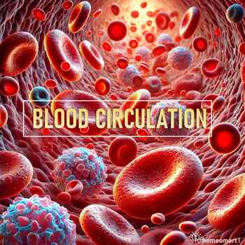 Blood Circulation Disorders – Key Homeopathy Remedies