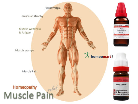  Homeopathy Pain Killers