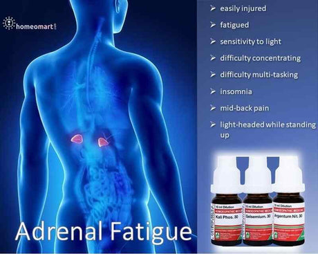 Top Homeopathy Medicines for Adrenal Fatigue & Related Conditions