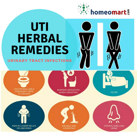 Homeopathy UTI (Urinary tract infections) Medicines