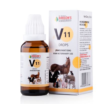 Bakson's V11 Rheumatism Drops