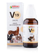 Bakson’s V19 (Colic) Drops – Homeopathic Relief for Digestive Discomfort in Pets