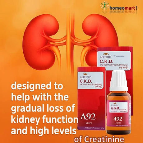 Infographic for C.K.D. A92 drops with a renal diagram on an orange background